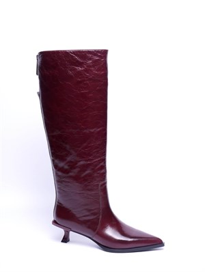 {{photo.Alt || photo.Description || 'Сапоги Aidini'}}